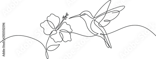 Continuous One Line Hummingbird Feeding from Tropical Flower Minimal Vector Illustration