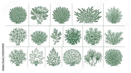 Foto 手描き風の緑豊かな植物イラストセット、庭や景観デザインに最適な様々な低木と茂みのベクターコレクション、自然な植栽の要素。