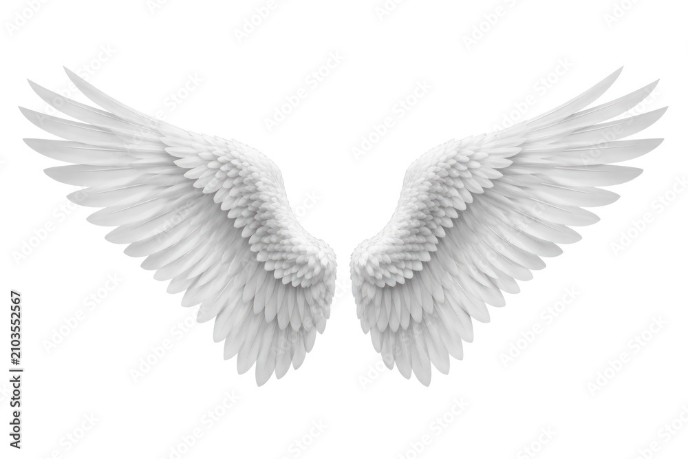 Fototapeta premium Elegant white angel wings illustration.