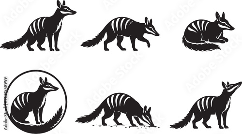 Foto Numbat Silhouette Icon Set Black Vector Collection Australian Marsupial Wildlife