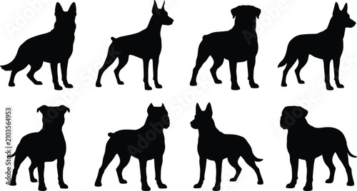 Photos WebBlack silhouettes of various standing guard dog breeds isolated on a solid wh