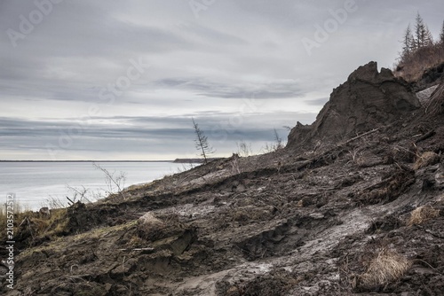 Duwanni Jar, bank of the Kolyma, the bank breaks off due to thawing permafrost, trees sink, drunken trees, Yakutia, Russia