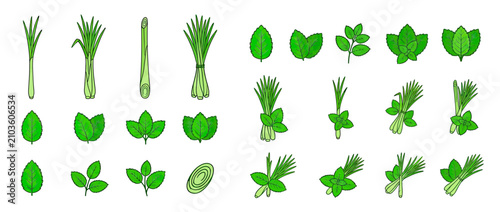Konstfotografi Green Herbs and Leafy Plants Assortment Illustration