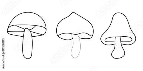 Minimalist mushroom line art vector elements set