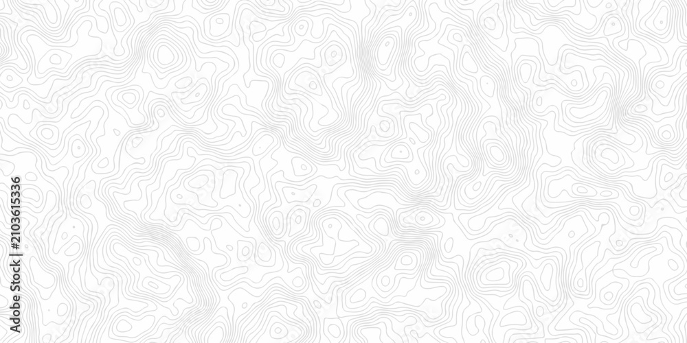 Obraz premium abstract grid topography paper elegant elevation map cartographic line design. Topography and geography map grid abstract wallpaper. 