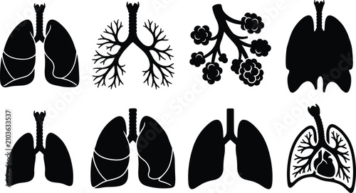 Cuadro en lienzo Human lung anatomy silhouette collection, respiratory system medical vector illu