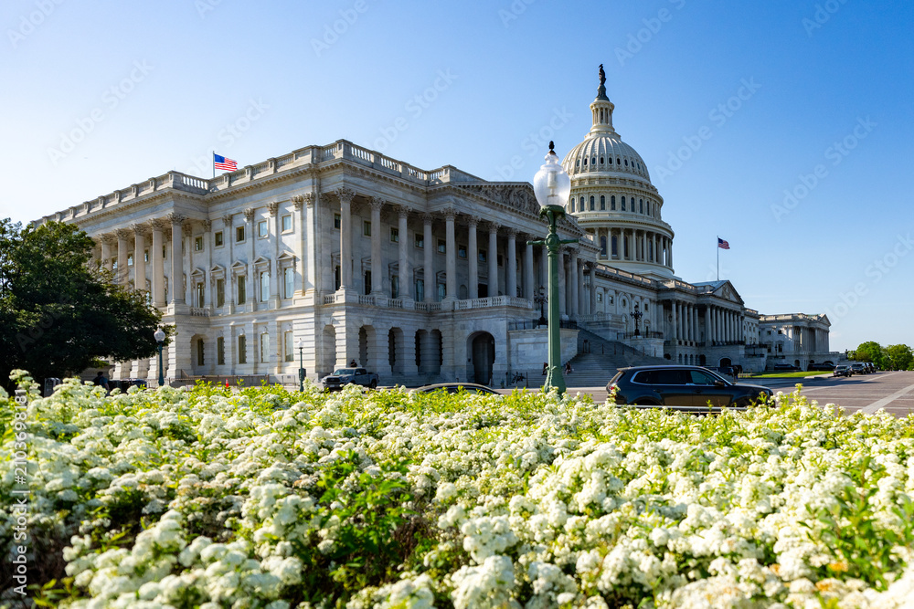 Obraz premium Architecture landmark with Capitol dome. Classical architecture defines government building. Architecture details show famous colonnade. Washington DC highlights American architecture.