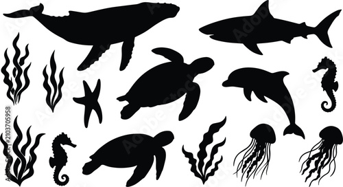 Photography Marine life and sea animals vector silhouettes set featuring whale shark dolphin