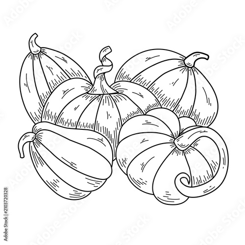 Pumpkin line art vector illustrations isolated on white background. Hand-drawn outline pumpkins perfect for autumn, fall harvest, Thanksgiving, Halloween, and coloring pages.