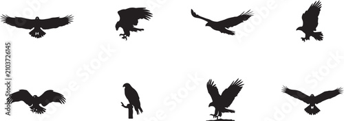 Bird silhouettes on a white background a collection of avian shapes