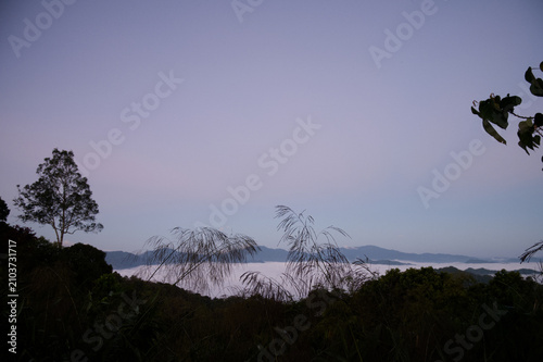 Breathtaking aerial view of misty valleys and lush green tropical rainforest mountains at dawn