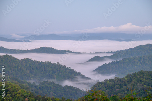 Breathtaking aerial view of misty valleys and lush green tropical rainforest mountains at dawn