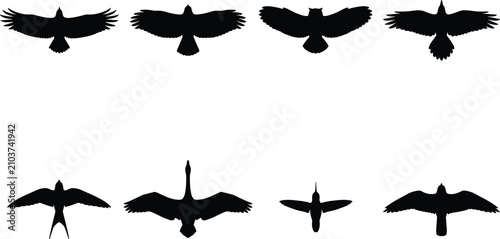 Foto Flying birds silhouette icon set featuring black vector shapes of eagle hawk owl