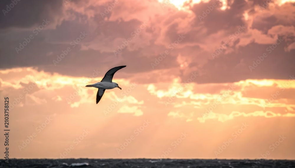 Fototapeta premium Serene Seaside Sunset With Flying Seagull Over Ocean.