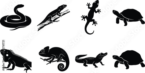 Obraz na plátně Reptiles silhouette icon set with snake lizard gecko turtle iguana chameleon and