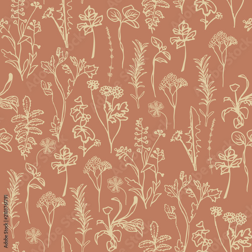 Herbarium vintage Botanicals
