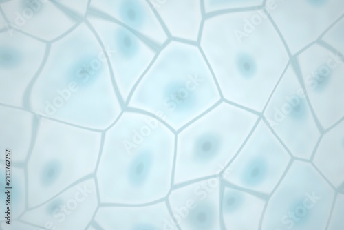 Konstfotografi Microscopic view of cells with nuclei