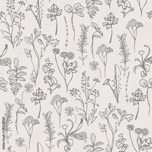 Herbarium vintage Botanicals
