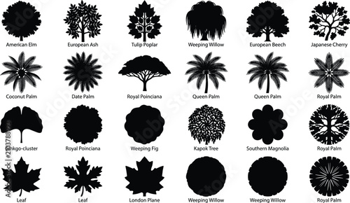 Cuadro en lienzo Collection of diverse tree species silhouettes including palm trees and deciduou