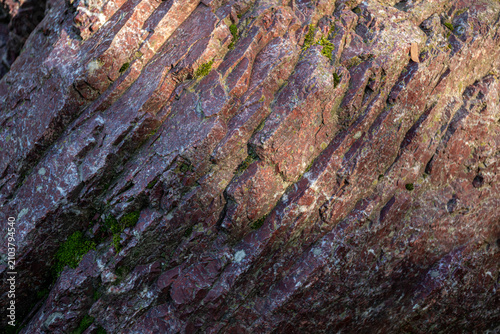 Textured jasper rock surface with layered formations and moss patches visible