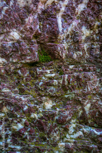 Vertical close up shot of textured surface of sealing wax jasper with moss and mineral patterns