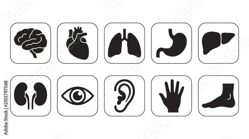 Canvas Print Medical Human Body Anatomy Organ and Extremity Silhouette Icon Set for Healthcar