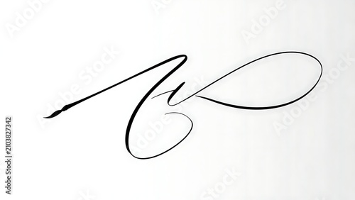 Obraz w ramie Elegant cursive letter N on white background.