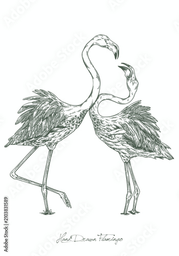 Minimalist Hand Drawn Flamingo Graphic for Modern Lifestyle Branding