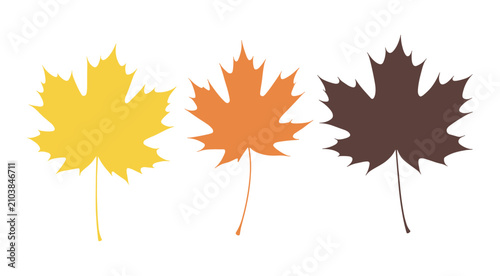 Konstfotografi Autumn Leaves Palette: A trio of distinct maple leaves in shades of yellow, orange, and brown, showcasing the vibrant color palette of fall