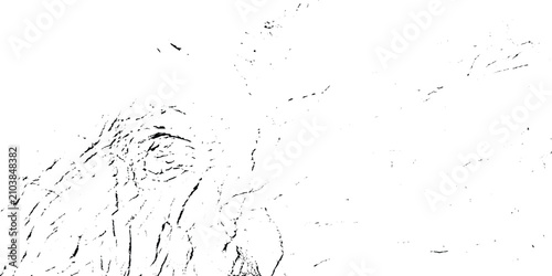 Quadro su tela Minimalist black and white line art illustration of an animal eye with detailed
