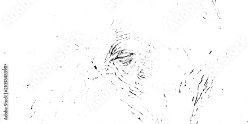 Quadro su tela Minimalist black and white line art illustration of an animal eye with detailed