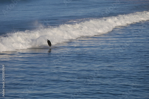 Pacific Ocean, Aotearoa New Zealand, New Brighton Beach in Christchurch, Canterbury 