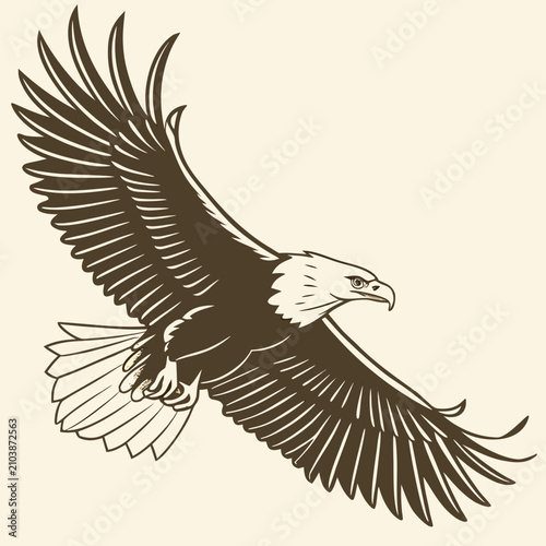 Black and white of an eagle in flight with spread wings and detailed feathers bird wings spread
