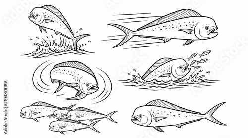 Mahi Mahi Fish Set in Action Poses, Hand-Drawn Sketch Style