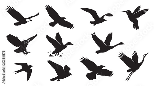 Quadro su tela Flying bird silhouettes set, black eagle and owl vector icons, 12 wild bird spec