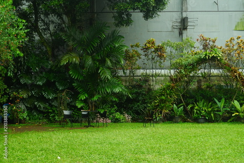 Small black metal bistro chairs and a matching table set positioned on a lush green lawn in front of a dense tropical garden with vibrant foliage and tall palm trees.