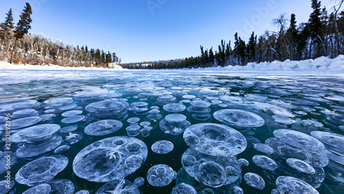 Frozen Methane Bubbles Trapped Under Turquoise Ice in Winter Boreal Forest Lake