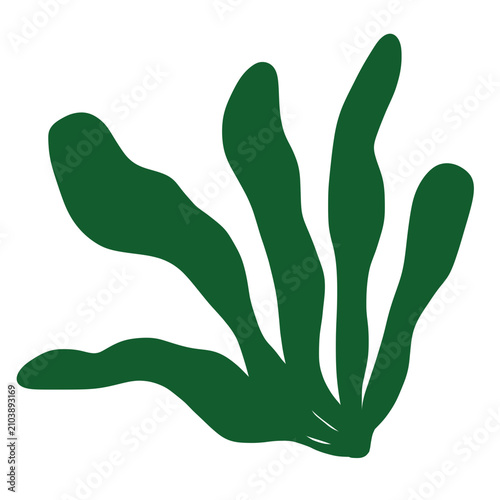 sea grass green illustrations under the sea