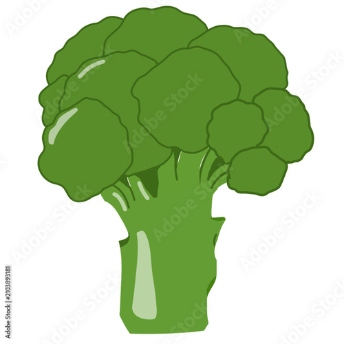 broccoli illustration