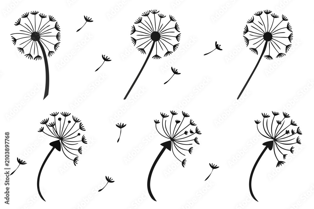 Obraz premium Falling dandelion seeds blowing in the wind vector illustration