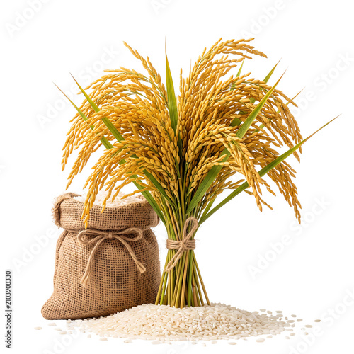 Rice Stalks and Grain Sack