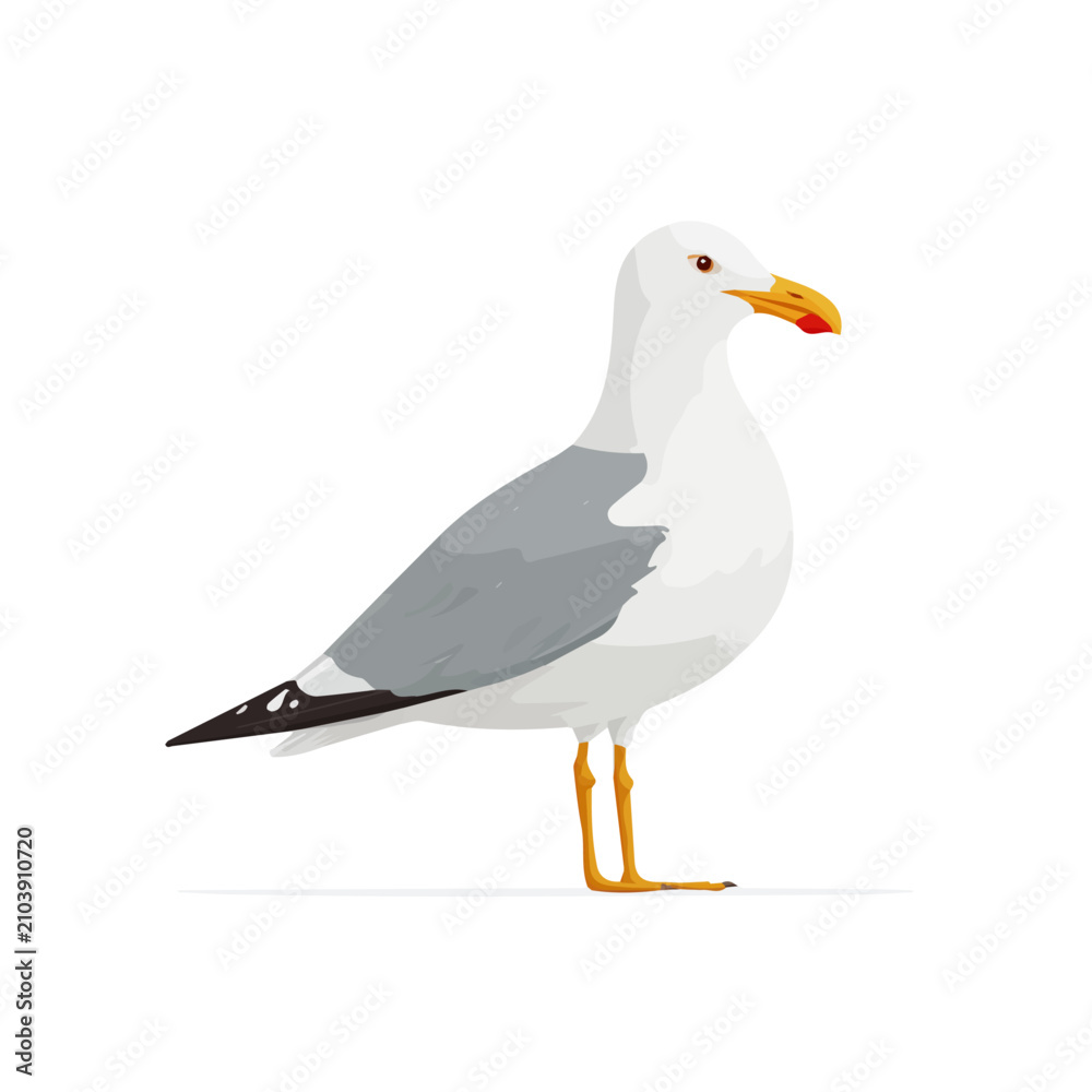 Fototapeta premium Flat-design 2D vector artwork of a Gull, styled as an icon and isolated against white background
