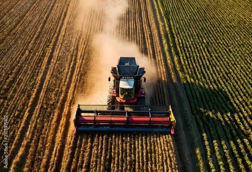 Combine harvester working i...