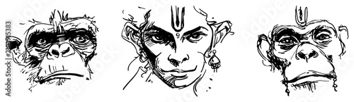 Tableau sur toile Hanuman monkey deity and primate portraits in expressive hand drawn ink sketch s