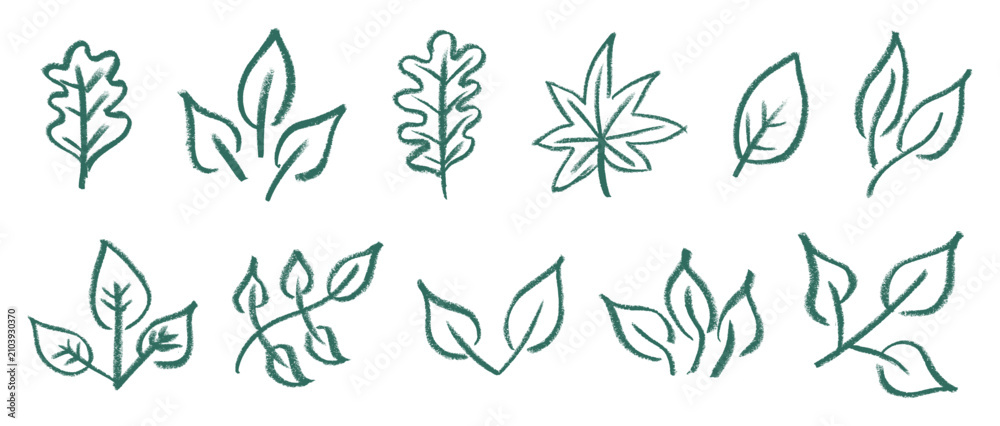 Fototapeta premium Leaf Icons Crayon Chalk Drawing Doodle Vector Set