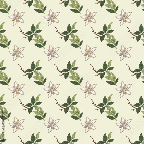 Elegant seamless coffee blossom and leaf pattern on soft cream background