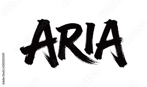 Foto ARIA Handwriting