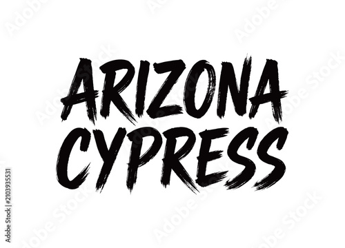Quadro su tela ARIZONA CYPRESS Handwriting