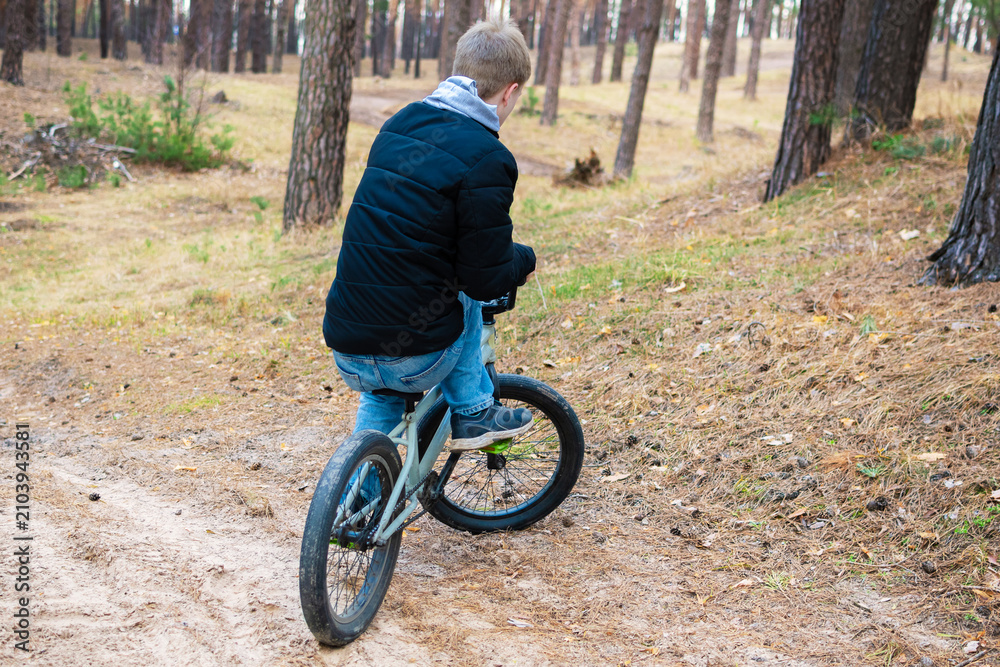 Obraz premium Active Teenager Boy Riding BMX Bicycle on Dirt Path Through Pine Forest in Autumn