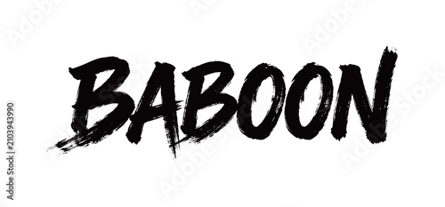 Photography BABOON Handwriting